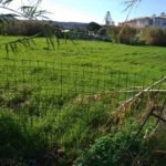 Plot for sale in Chania Crete